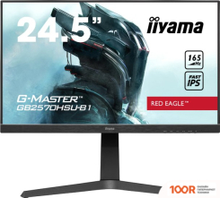 Монитор Iiyama G-MASTER GB2570HSU-B1 (166592)