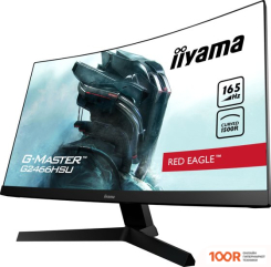 Монитор Iiyama G-MASTER G2466HSU-B1 (166584)