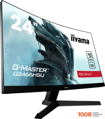 Монитор Iiyama G-MASTER G2466HSU-B1 (166584)