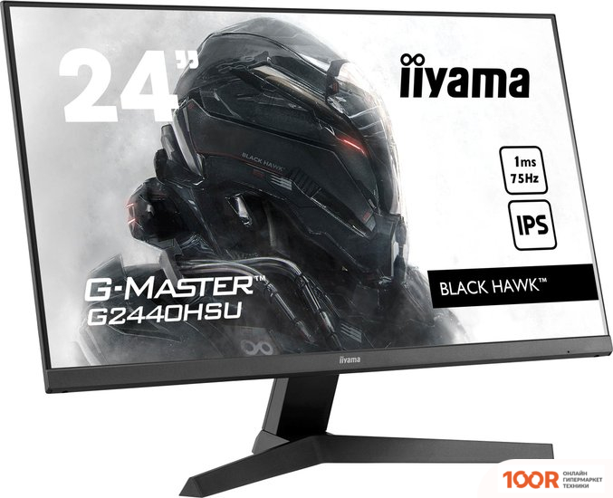 Монитор Iiyama G-MASTER G2440HSU-B1 (166583)
