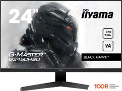 Монитор Iiyama G-MASTER BLACK HAWK G2450HSU-B1 (166578)