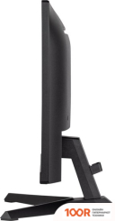 Монитор Iiyama G-MASTER BLACK HAWK G2250HS-B1 (166575)