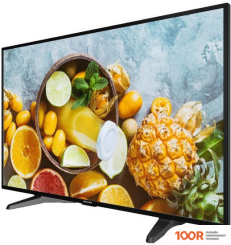 Монитор Hikvision DS-D5043QE (166252)