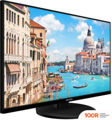 Монитор Hikvision DS-D5027UC (166249)