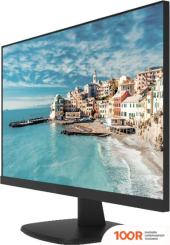 Монитор Hikvision DS-D5027FN (166247)