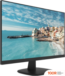 Монитор Hikvision DS-D5027FN (166247)