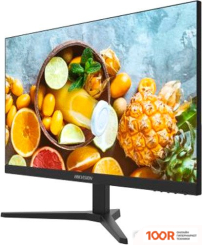 Монитор Hikvision DS-D5024FN10 (166244)