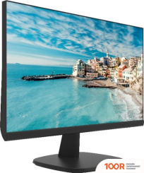 Монитор Hikvision DS-D5024FN (166242)