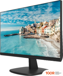 Монитор Hikvision DS-D5024FN (166242)