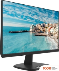 Монитор Hikvision DS-D5022FN-C (166238)