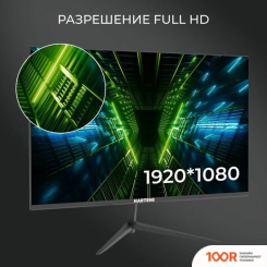 Монитор Hartens HTM24Z165 (166233)