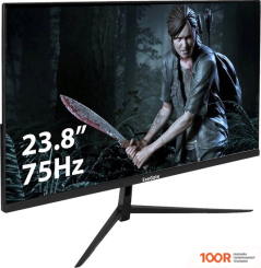 Монитор ExeGate PROSMART EV2407 EX294427RUS (166119)