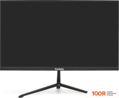 Монитор ExeGate PROSMART EV2207A EX294343RUS (166118)
