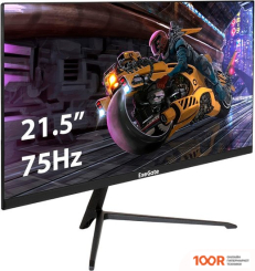 Монитор ExeGate PROSMART EV2207A EX294343RUS (166118)