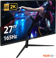 Монитор ExeGate COMBAT EG2700A EX297305RUS (166105)