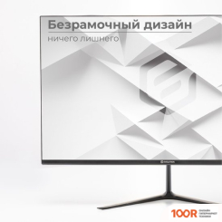 Монитор Evolution X24IC IPS (166096)