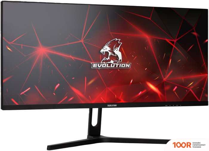 Монитор Evolution GX292KIC UW IPS (166092)