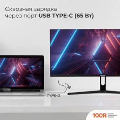 Монитор Evolution GX292KIC UW IPS (166092)