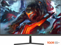 Монитор ELSA EA251S (166076)