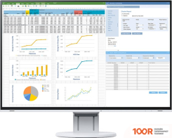 Монитор EIZO FLEXSCAN EV2457-WT (166047)