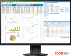 Монитор EIZO FLEXSCAN EV2457-BK (166046)
