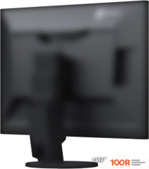 Монитор EIZO FLEXSCAN EV2457-BK (166046)
