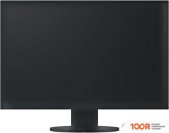 Монитор EIZO FLEXSCAN EV2430-BK (166044)