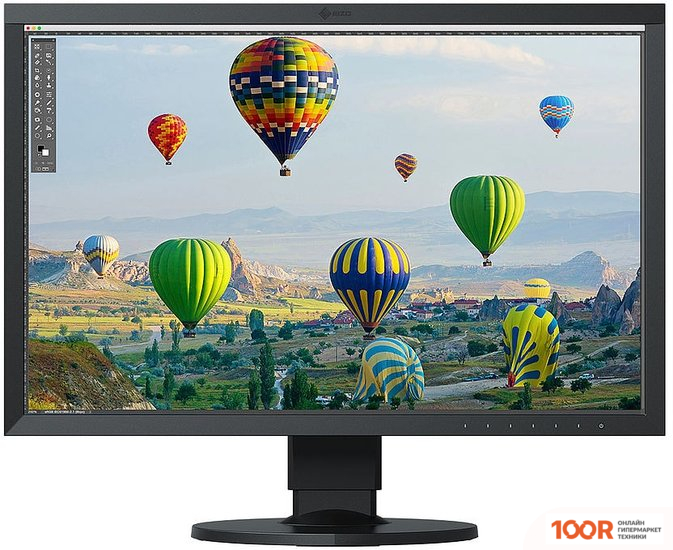Монитор EIZO COLOREDGE CS2410-BK (166039)
