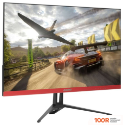 Монитор Digma DM-MONG2410 (165966)