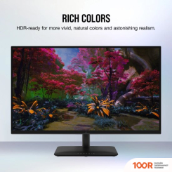 Монитор Corsair XENEON 315QHD165 (165678)