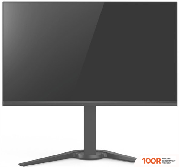 Монитор CHiQ LMD24F505-R (165652)