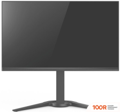 Монитор CHiQ LMD24F505-R (165652)