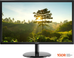 Монитор CBR MF 2401 (165638)