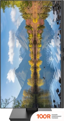 Монитор CBR MD-2401 (165632)