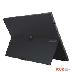 Монитор ASUS ZENSCREEN GO MB16AWP (165513)