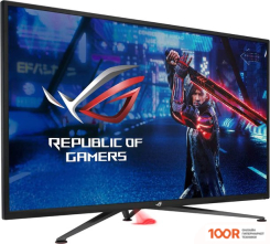 Монитор ASUS ROG STRIX XG438QR (165393)
