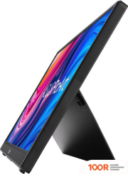 Монитор ASUS PROART PA148CTV (165328)
