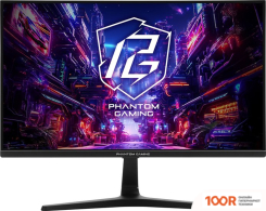 Монитор ASRock PHANTOM GAMING PG25FFT (165234)