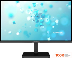 Монитор Aquarius AQVIEW B24F1 (165211)