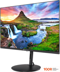 Монитор AOPEN 24SH2YEBMIHUX UM.QS2EE.E22 (165172)