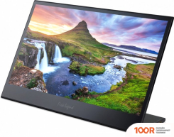 Монитор AOPEN 16PM6QTBMIUX (165148)