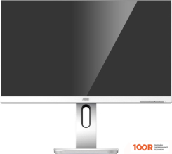 Монитор AOC 24P1/GR (164970)