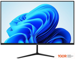 Монитор Aiwa MF2403-V (164900)