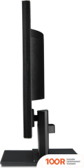 Монитор Acer V226HQL UM.WV6EE.006 (164767)