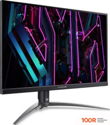 Монитор Acer PREDATOR XB273UV3BMIIPRZX UM.HX3EE.310 (164701)