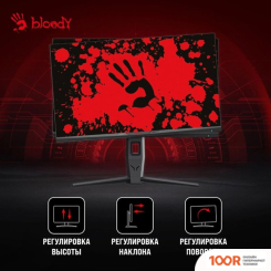 Монитор A4Tech BLOODY MN251F (СЕРЫЙ) (164312)