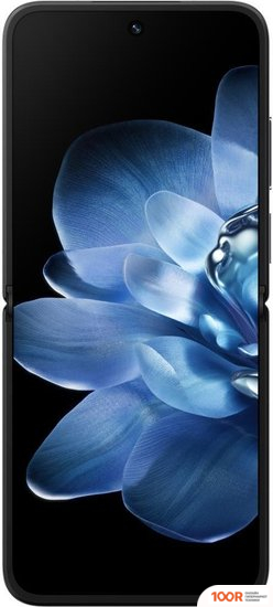 Мобильный телефон Xiaomi MIX FLIP 12GB/512GB МЕЖДУНАРОДНАЯ ВЕРСИЯ (ЧЕРНЫЙ) (162263)
