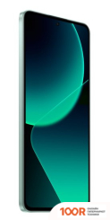 Мобильный телефон Xiaomi 13T PRO 12GB/512GB МЕЖДУНАРОДНАЯ ВЕРСИЯ (ЗЕЛЕНЫЙ ЛУГ) (161926)