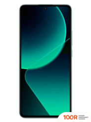 Мобильный телефон Xiaomi 13T PRO 12GB/256GB МЕЖДУНАРОДНАЯ ВЕРСИЯ (ЗЕЛЕНЫЙ ЛУГ) (161922)