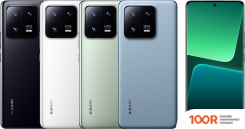 Мобильный телефон Xiaomi 13 PRO 8GB/256GB КИТАЙСКАЯ ВЕРСИЯ (СВЕТЛО-ЗЕЛЕНЫЙ) (161899)